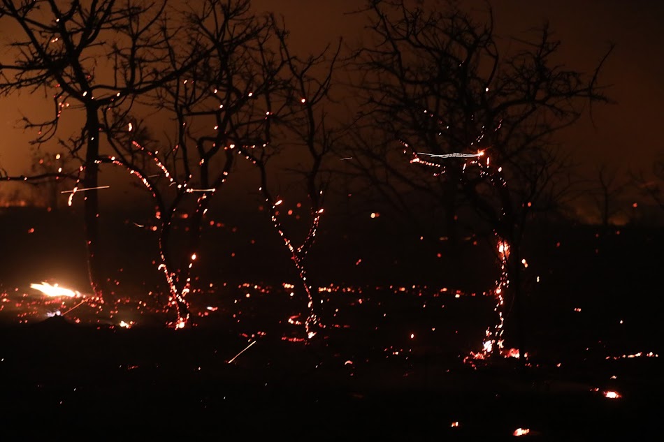 Incendios florestais Parque Nacional da Chapada dos Guimaraes 2024 2