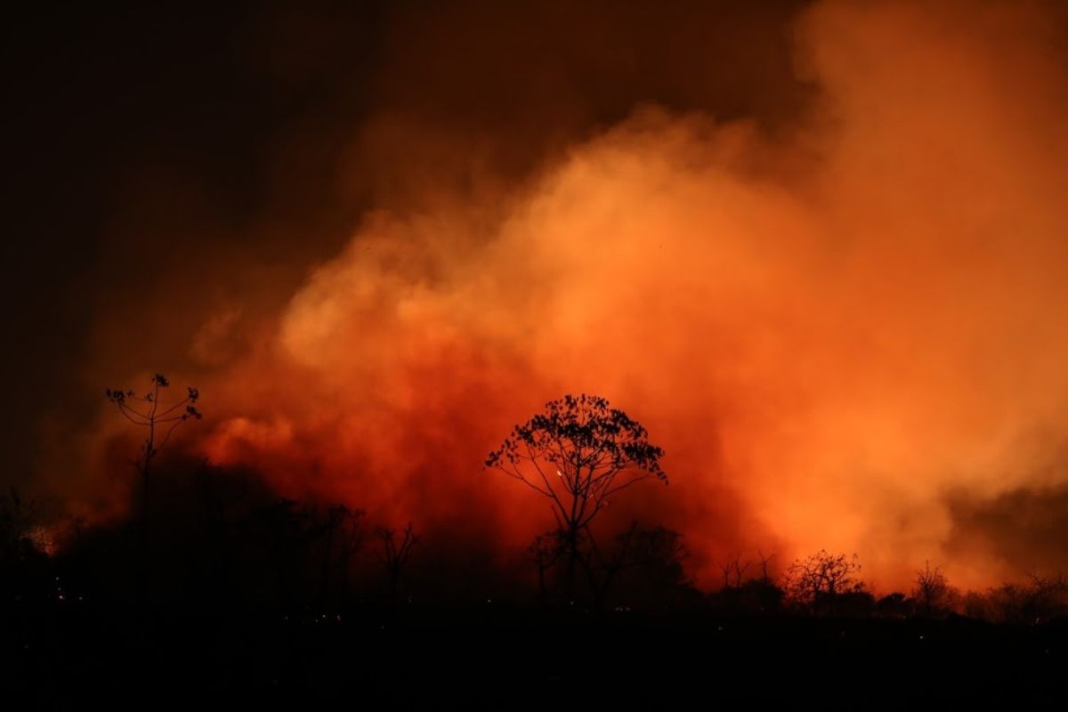 Incendios florestais Parque Nacional da Chapada dos Guimaraes 2024