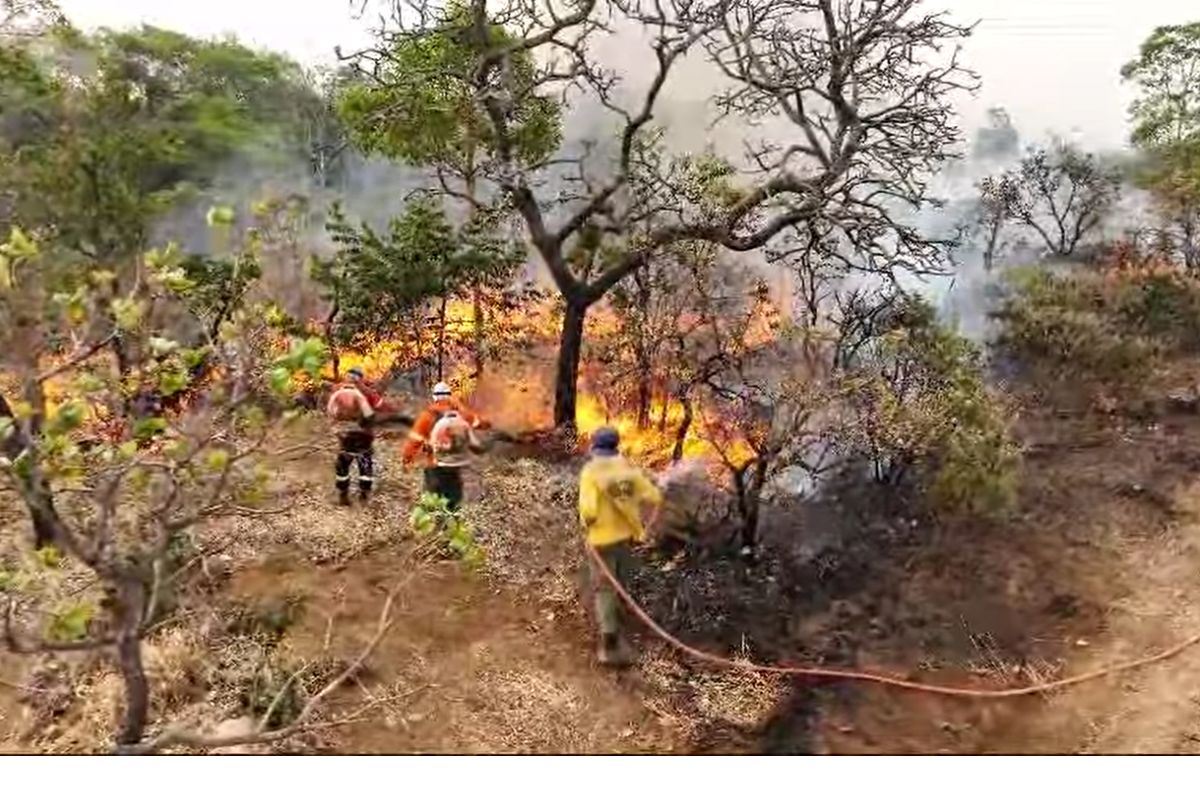 fogo chapada 05