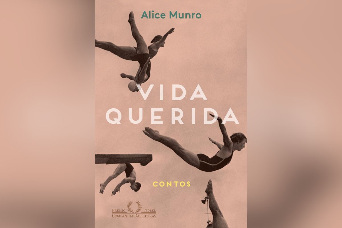 Vida Querida é um livro de contos (Foto: Reprodução)