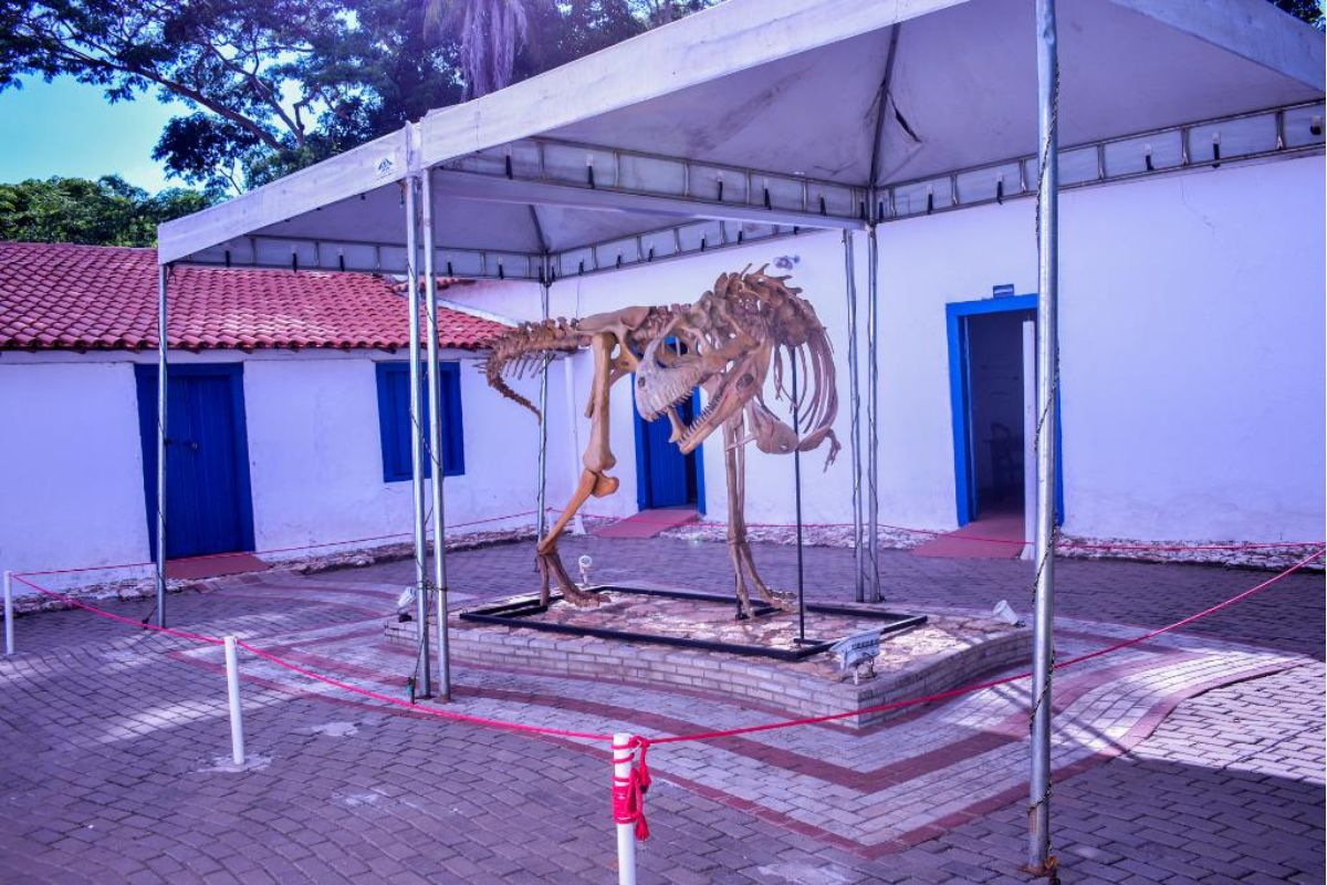 Museu de História Natural (Foto: João Felipe/Secel)