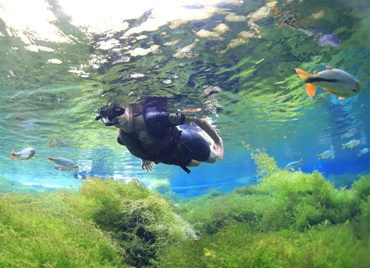 Água cristalina do Rio Baia Bonita (Foto: Portal Bonito)