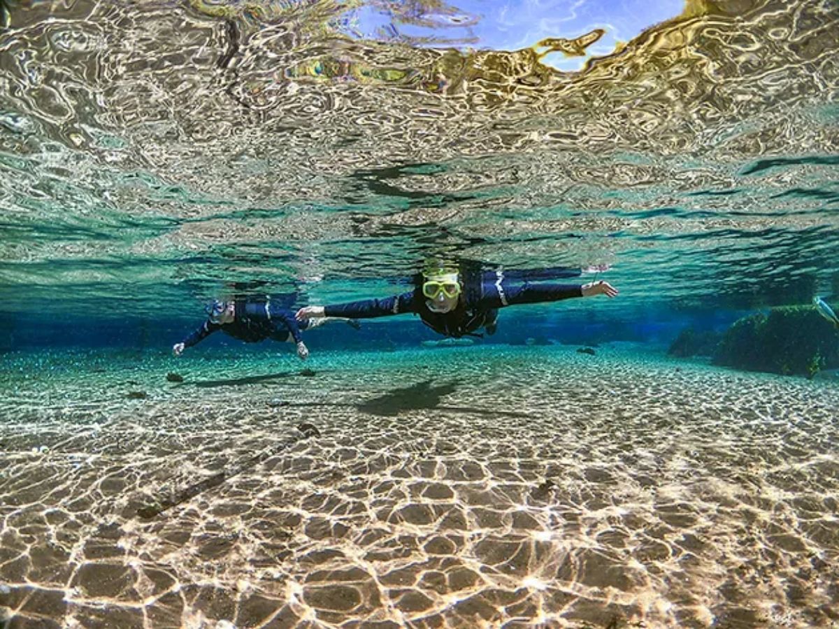 Flutuação no Rio Sucuri (Foto: Rio Sucuri Ecotorismo)