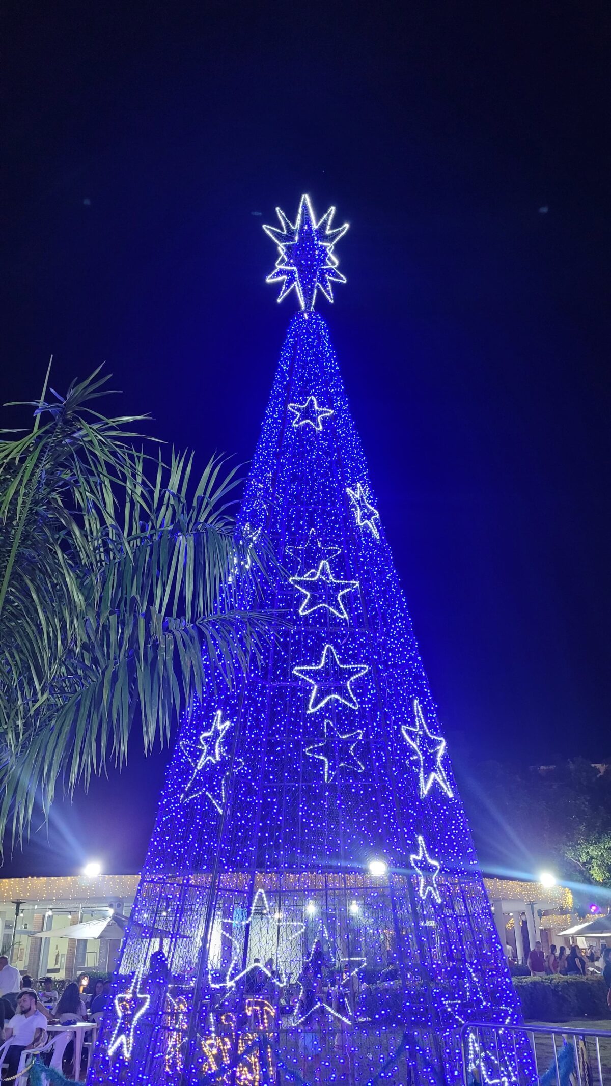 Árvore de Natal gigante no jardim do Sesc em Cuiabá. (Foto: Gabi Braz)