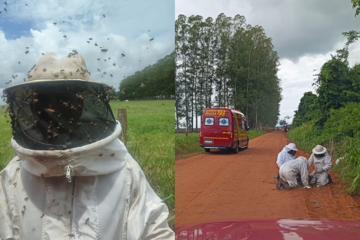 Corpo de Bombeiro socorrendo vítima de abelhas