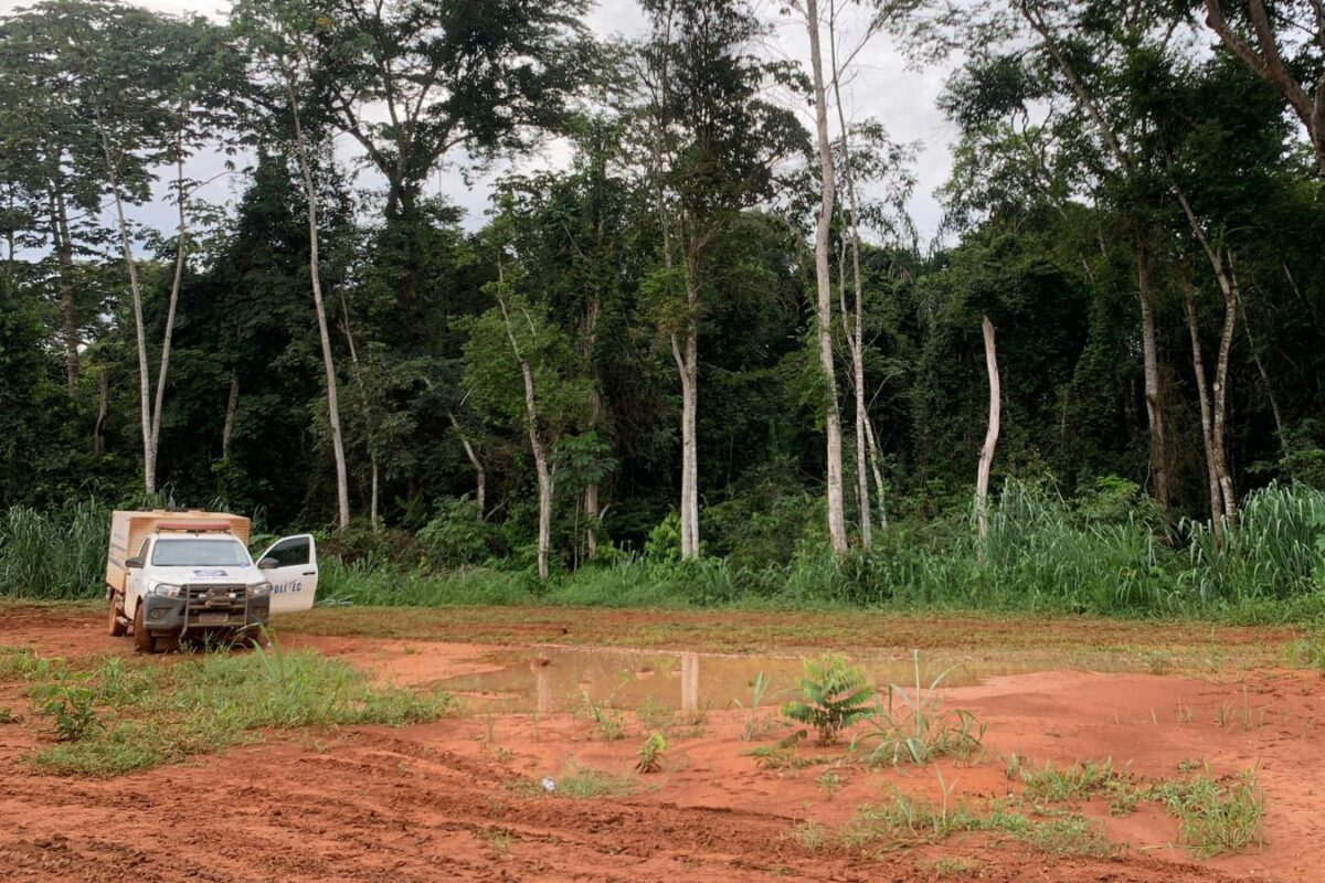 Onze corpos foram encontrados em cemitério clandestino em região de mata em Lucas do Rio Verde. (Foto: Reprodução)