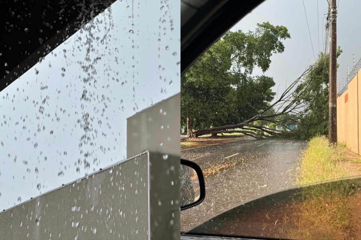 Chuva de granizo e estragos em Campo Grande