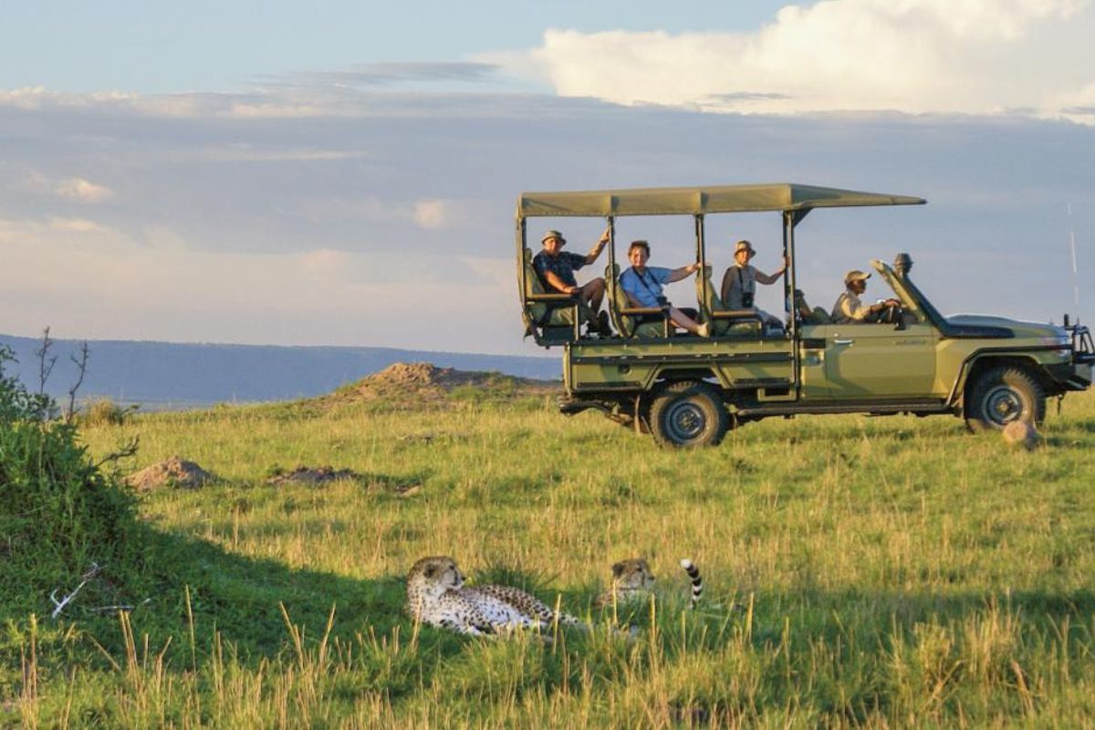 animais tanzania