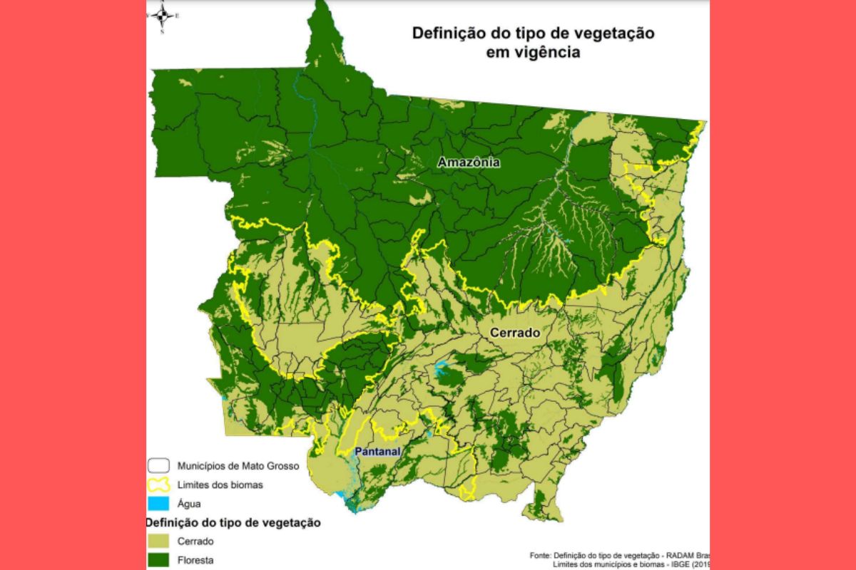 mapa biomas MT