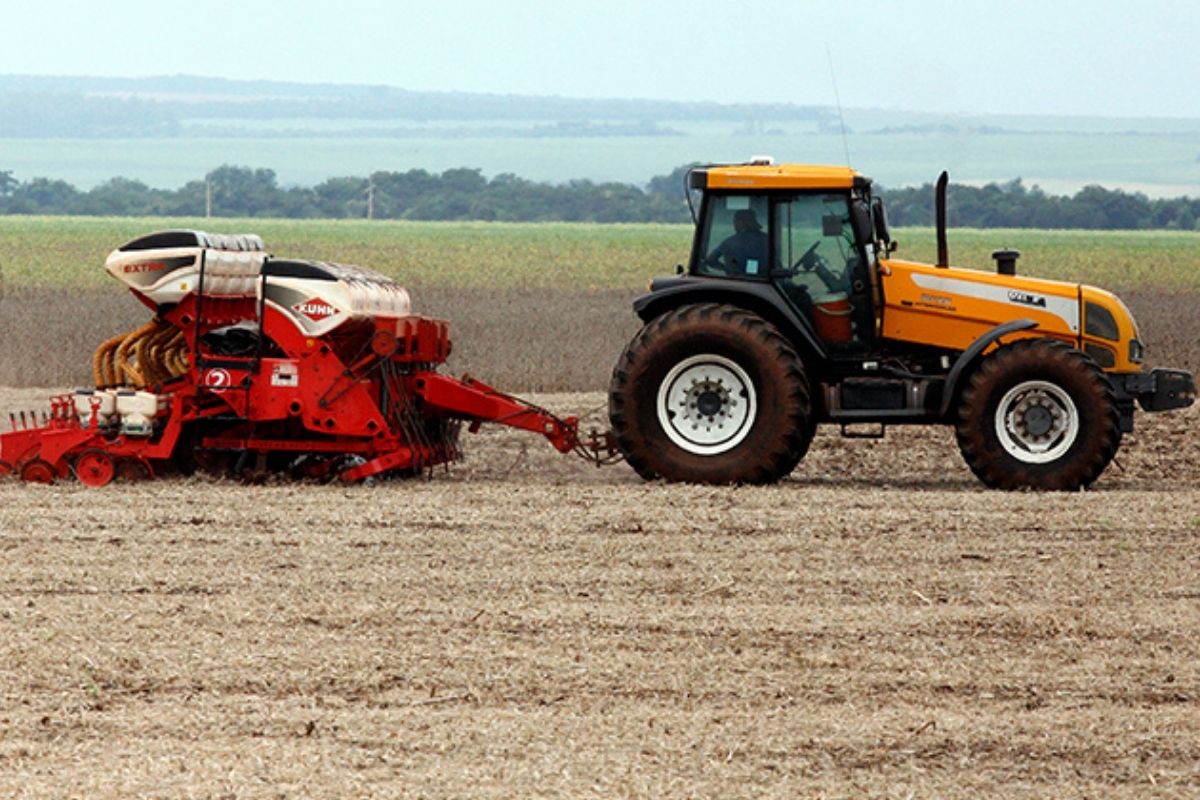 Agropecuária é destaque nos dados de Mato Grosso do Sul do Novo Caged (Foto: Chico Ribeiro/Governo de MS)