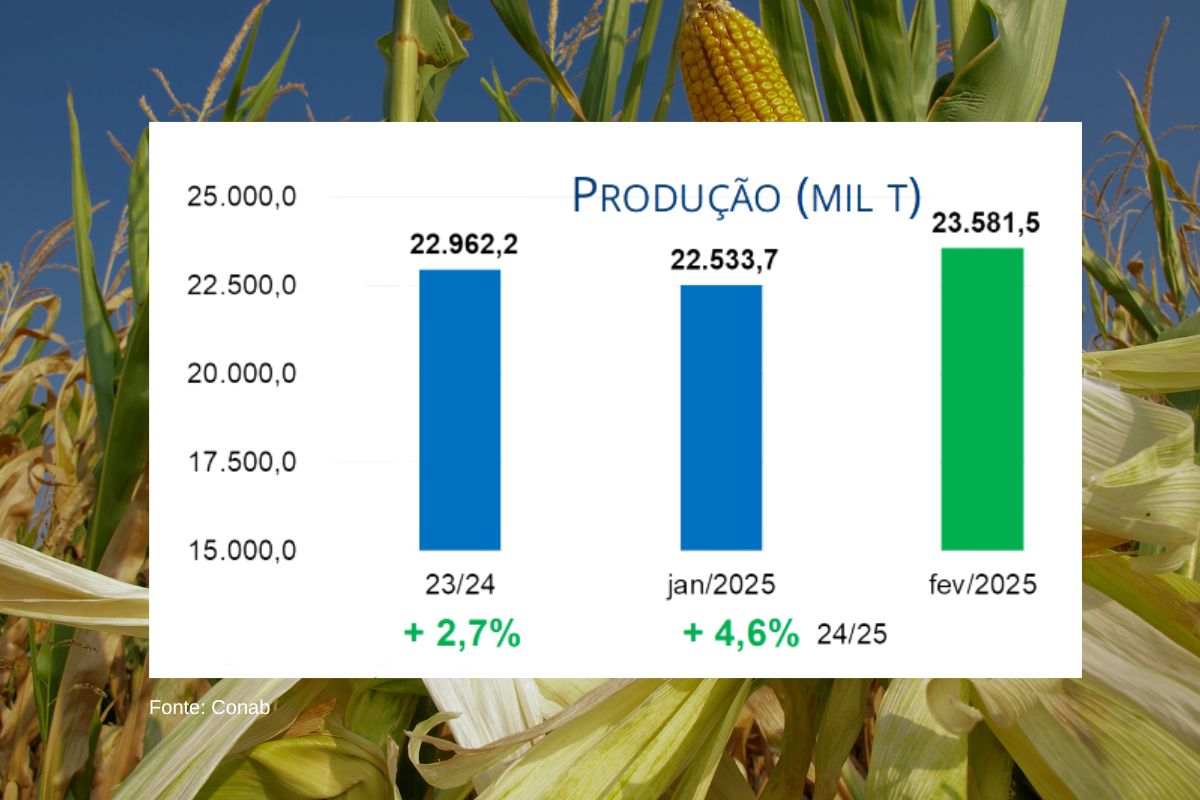 Milho deve atingir mais de 23 milhões de toneladas na safra 2024/25. (Fonte: Conab)