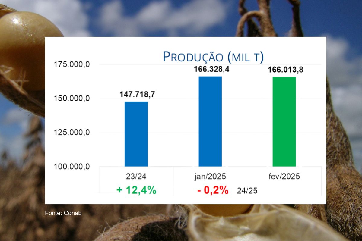 Soja deve atingir mais de 166 milhões de toneladas na safra 2024/25. (Fonte: Conab)