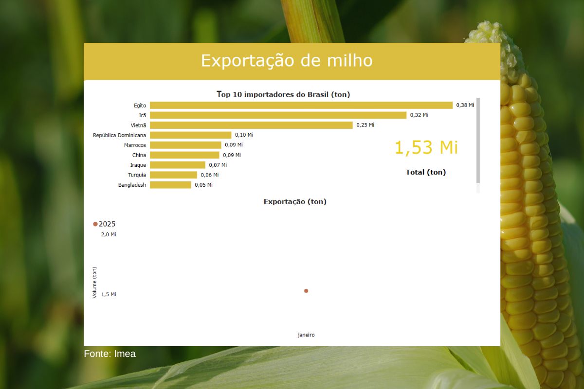 Países importadores de milho mato-grossense. (Fonte: Imea)