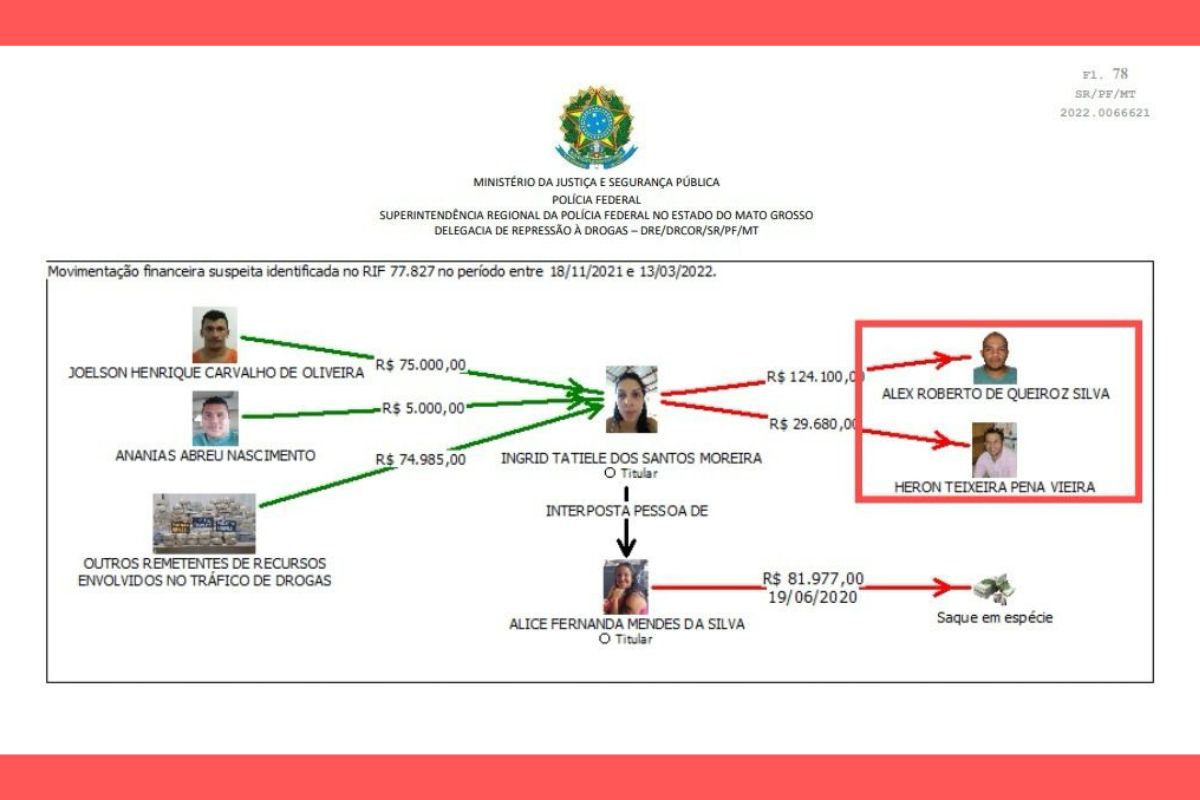 organograma trafico