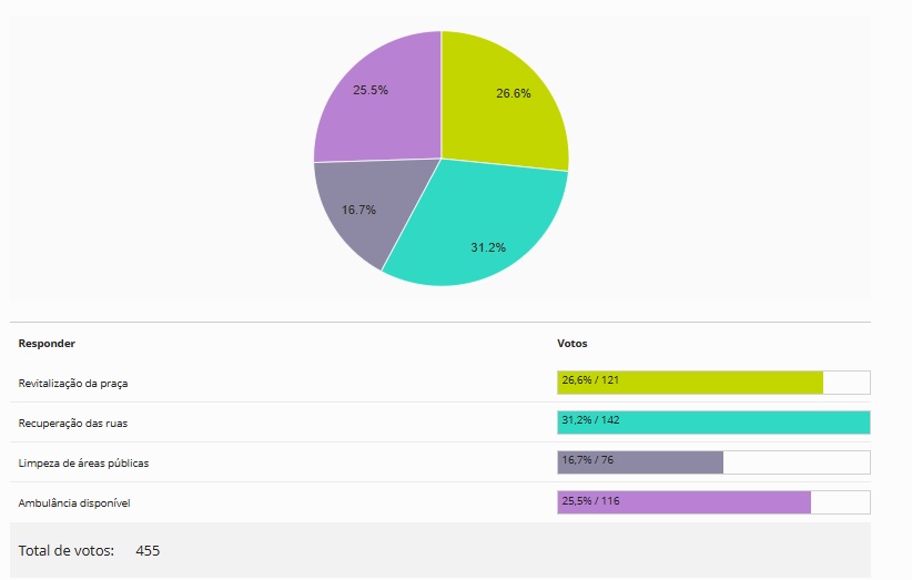 Resultado da enquete "Qual o maior problema do bairro Alto da Glória em Sinop". (Foto: Captura de tela)